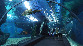  - SiamBangkokMap
